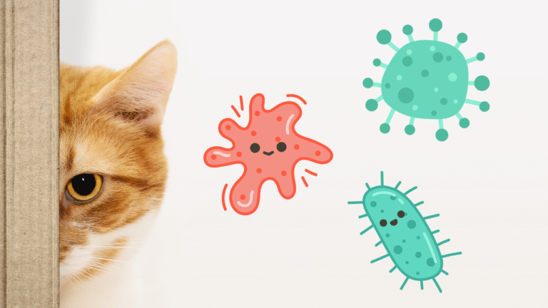 5 Signs of Food Allergies in Dogs and Cats