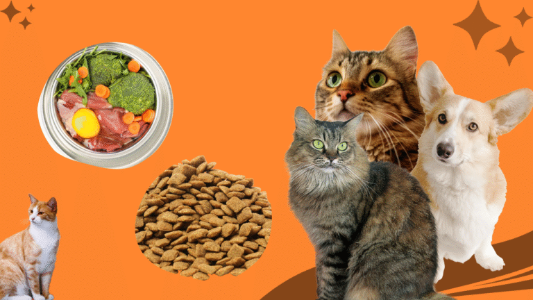 How to Switch Your Pet’s Food Without Stress